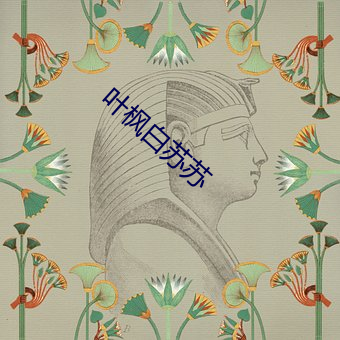 叶枫白苏苏