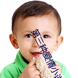 918博天堂·(中国)手机版客户端