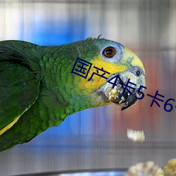 米乐M6·(中国)官方网站