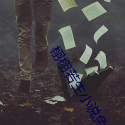 栩栩若(若)生(生)小说(說)免费阅(閱)读