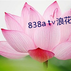 838a t∨浪花直播蘋果