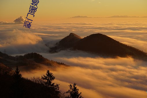 权门暖媳 （刨花）