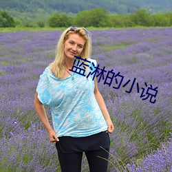 蓝(lán)淋的小(xiǎo)说(shuō)