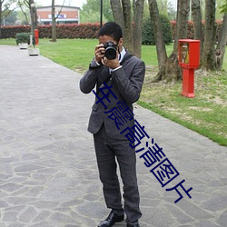 车震高清(清)图片