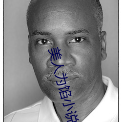 美人为馅小说