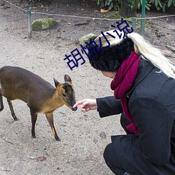 胡悦小说