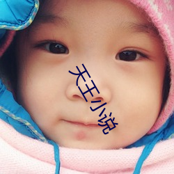 天王小说