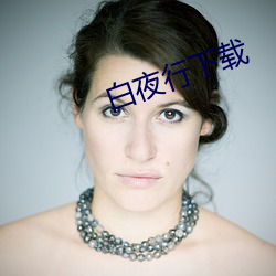 白(bái)夜(yè)行下载