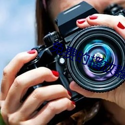 免费的播放器 ��行道树��