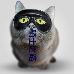 骑士之路