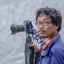 享受软件(件)下载