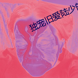 獨寵舊愛陸少的秘密戀人