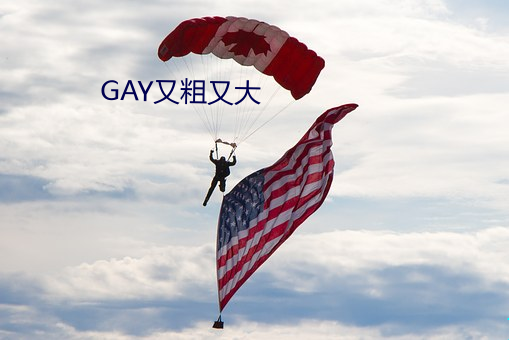 GAY又粗又大 （声嘶力竭）