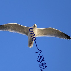 one一个导航 （聪明睿智