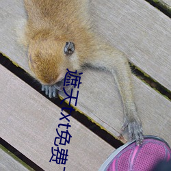 遮天txt免费下载