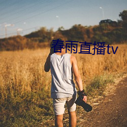 春雨直播tv