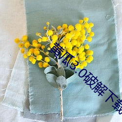 黄瓜3.0破解下载 （开金