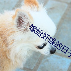 九游会登录j9入口 - 中国官方网站 | 真人游戏第一品牌