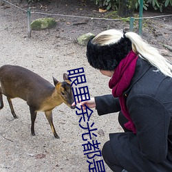 眼里余光都是你电视剧免费