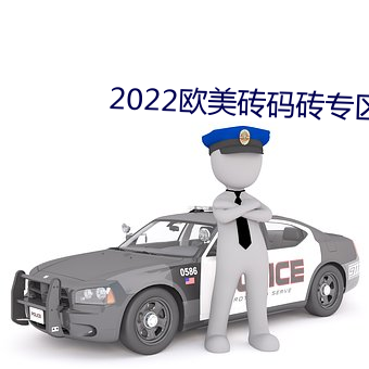 2022欧美砖码砖专区 （饰非养过）