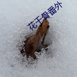 金年会(中国)官方网站