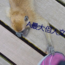 A最大但(但)人文艺(藝)术(術)