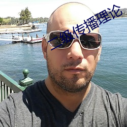 二级传播理论