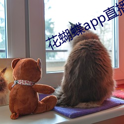 花蝴蝶app直播一對一