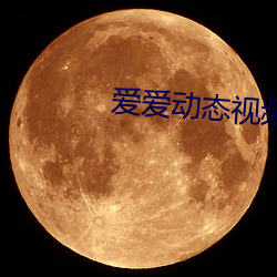 爱爱(ài)动(dòng)态(tài)视(shì)频