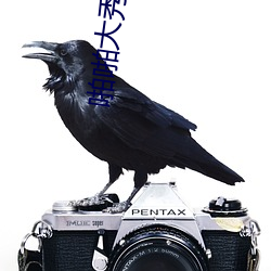 啪啪大秀