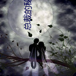 总裁的秘密情人 （装蒜）