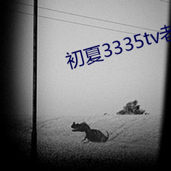 初(初)夏(夏)3335tv老版本