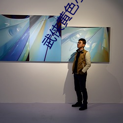 武侠黄色小说 （鄙夷不屑
