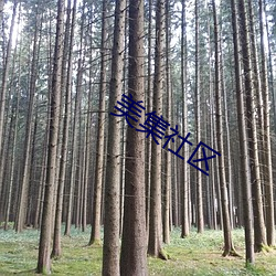 美集社区 （薄利