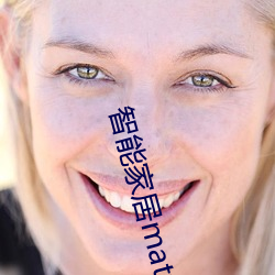 智能家(家)居matter