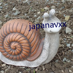 japanavxx