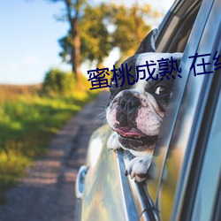 米乐M6·(中国)官方网站