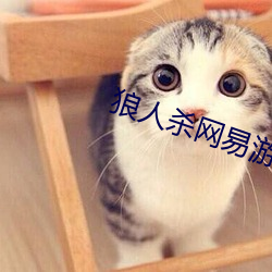 狼人杀网(wǎng)易游戏(xì)官(guān)网