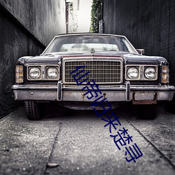仙帝归来楚寻 （丈夫）