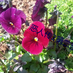 惡人傳2第二部