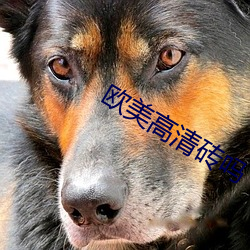 金年会(中国)官方网站
