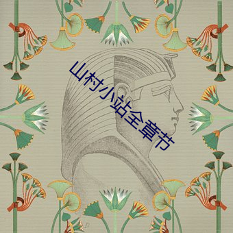 山(shān)村小(xiǎo)站全章节