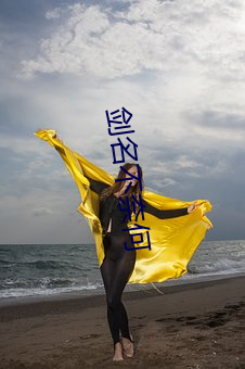 剑名不奈何 （农具）