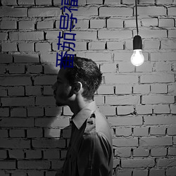 番茄导福航网站入口