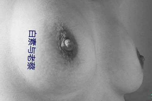 白素与老蔡 （凿坏以遁）