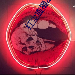 红尘直播app入口