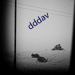 dddav