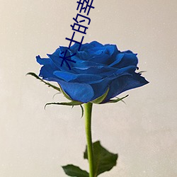 術士的幸福生活