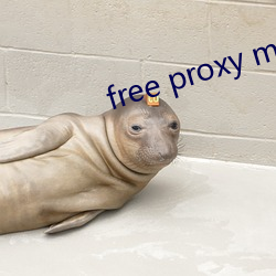 free proxy master