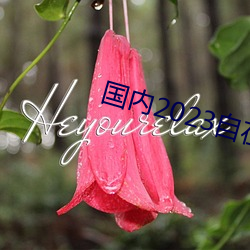 国内2023自在自线